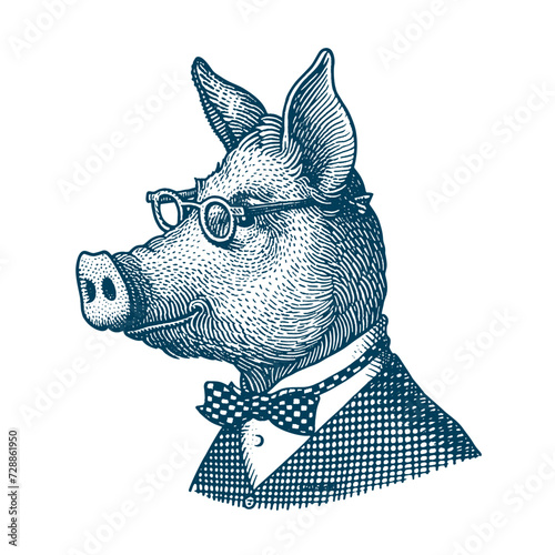 Pig wearing glasses and suit. Funny vintage woodcut engraving style vector illustration.