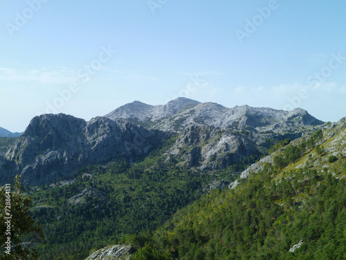 Pinsapar de Grazalema
