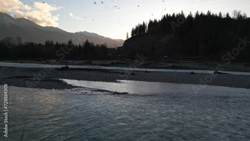 Birds flying over beautiful river landscape.