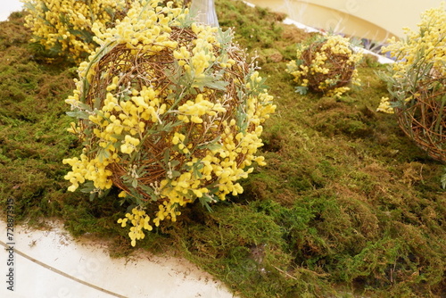 A ball shape of mimosa 