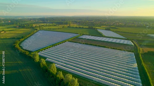 AERIAL: Beautiful golden morning sunlight illuminates the large greenhouse area located amidst vast and lush farmland on the green outskirts of Canterbury in England. Modern ways of food production. photo