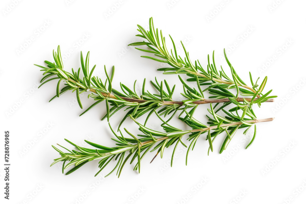Top view of fresh, green rosemary sprigs isolated on a white background, highlighting the vibrant color and texture of this aromatic herb
