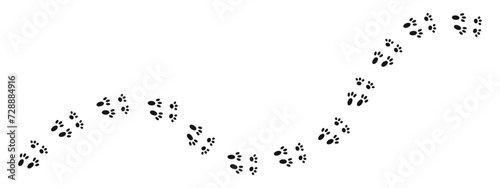 Wet or mud bunny feet prints. Rabbit paw silhouette stamps. Trace of steps of running or walking hare isolated on white background. Vector graphic illustration. photo