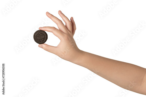 Hand holding a chocolate chip cookie isolated on white background.