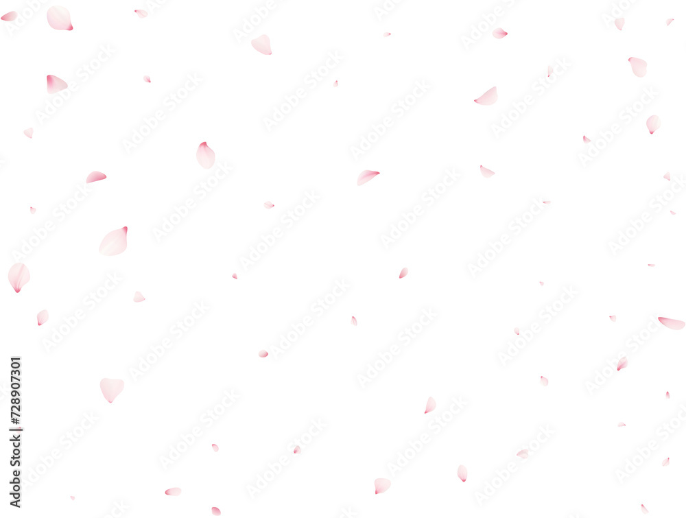 Sakura Flower Petals