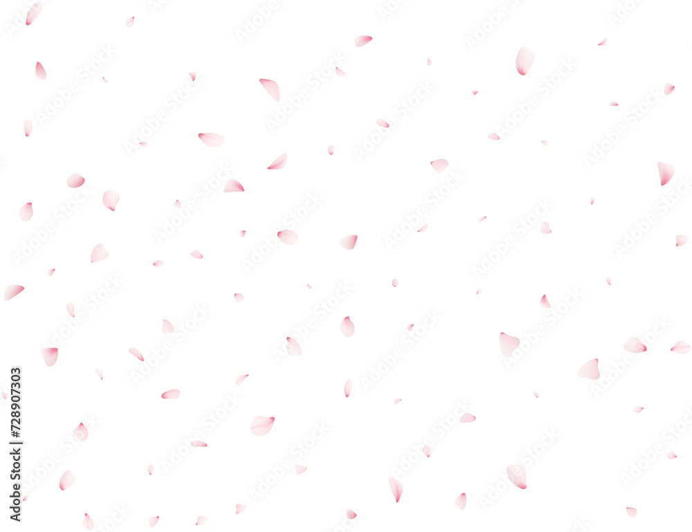 Sakura Flower Petals