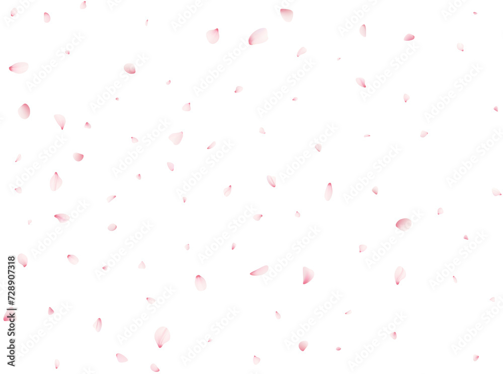 Sakura Flower Petals Sakura Flower Petals