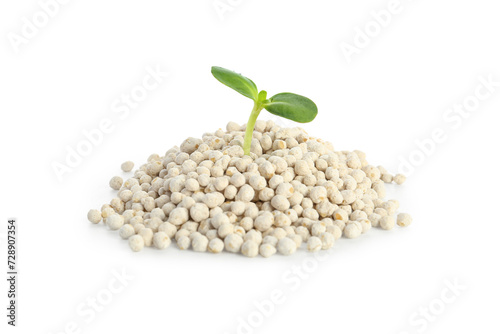 Green seedling growing from...