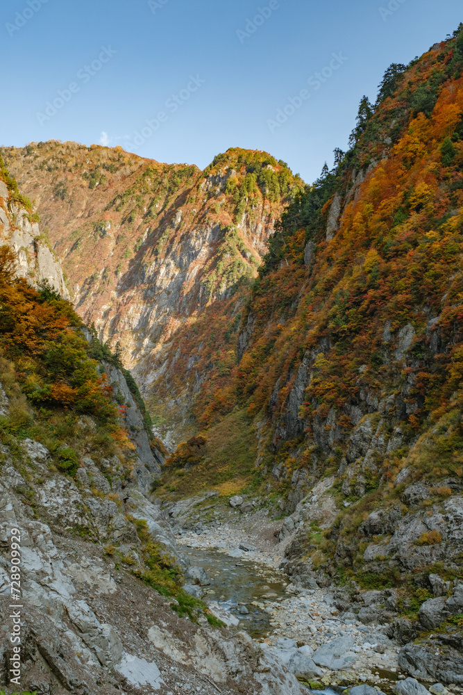 秋の峡谷