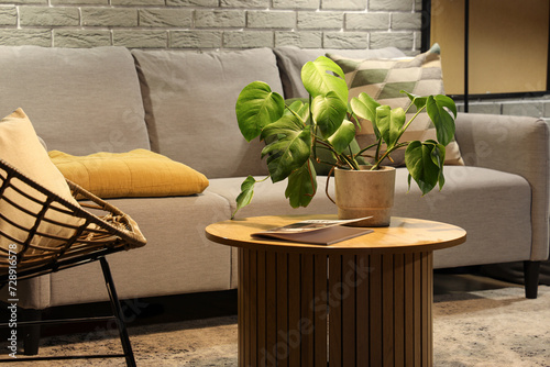 Modern living room interior...