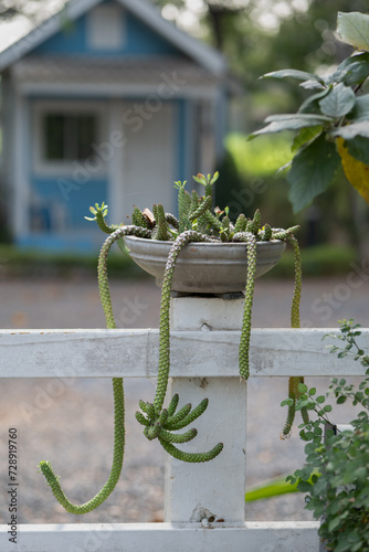 Photo of baannaisuan resort chansen Nakhon Sawan, Thailand. 