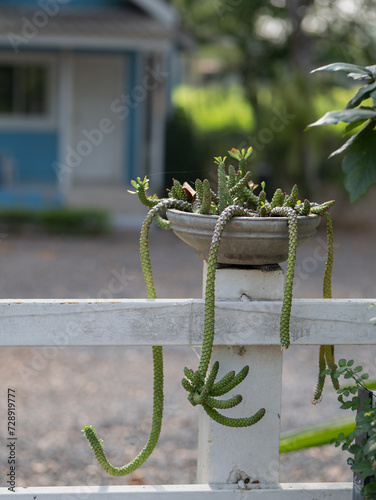 Photo of baannaisuan resort chansen Nakhon Sawan, Thailand. 