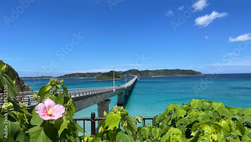 山口　青い海と青い空と角島大橋 © shibagr