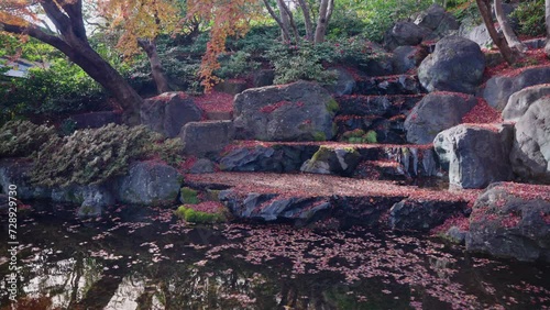 4k Japanese Koi Pond in Autumn Colors at Katsuoji Temple photo