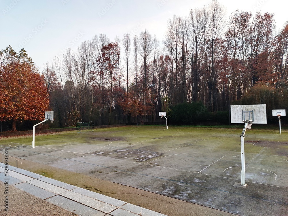 abandoned european basketball court pines autumn