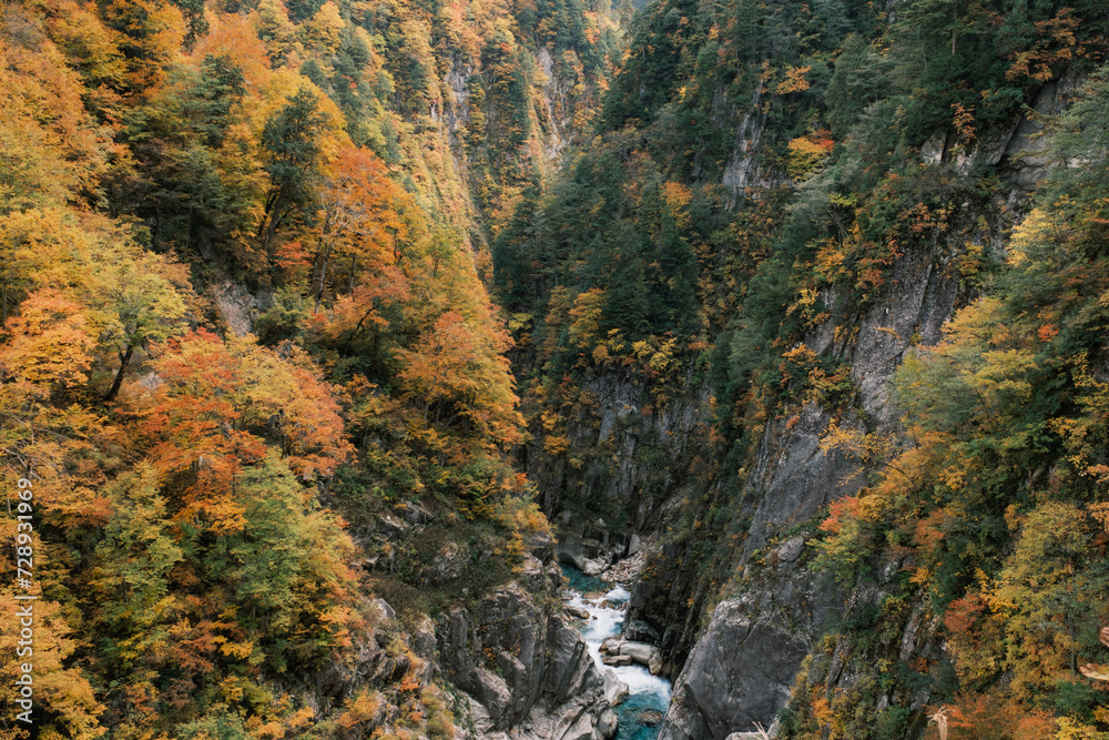 秋の峡谷