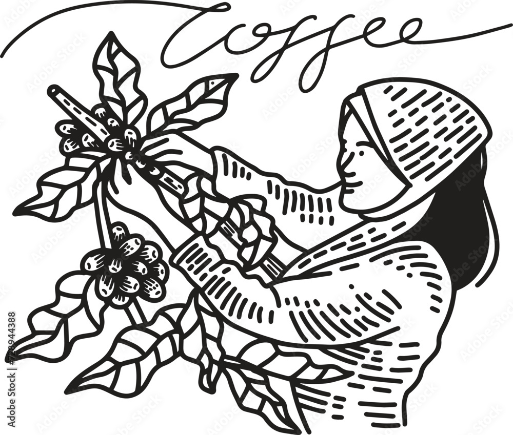 farmers picking coffee beans farmers picking coffee beans