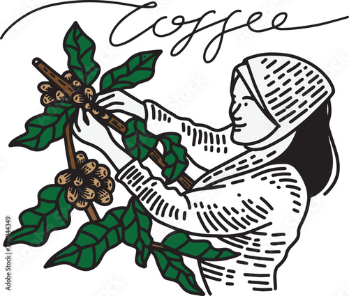farmers picking coffee beans 