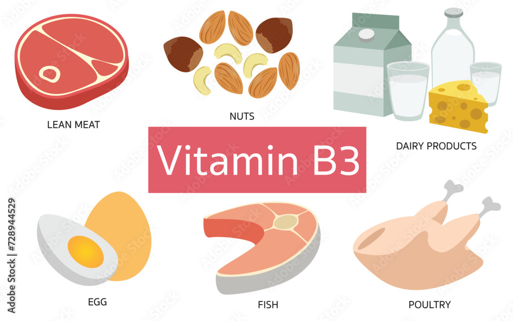 Vitamin B3 food sources on white background.