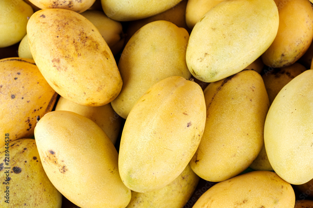 Heap of fresh ripe yellow mangoes at market for sell in Thailand Heap of fresh ripe yellow mangoes at market for sell in Thailand