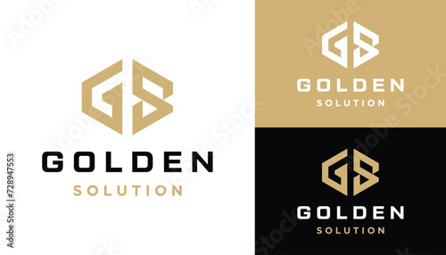 Golden Initial Letter GS S G SG with Simple Hexagon Line Art Logo Design photo