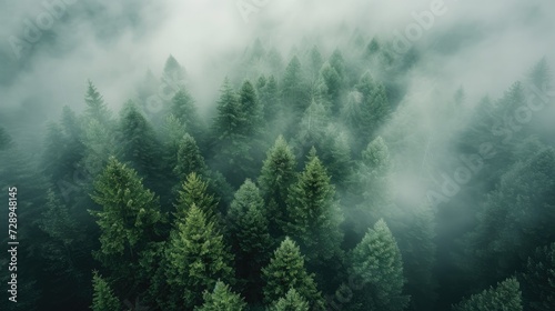 Aerial perspective captures fog shrouding dark pine forest trees  an ethereal landscape  Ai Generated