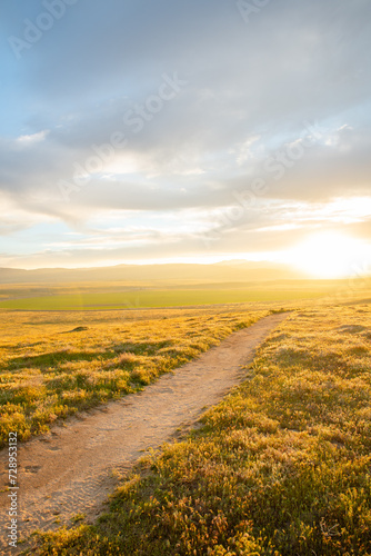 Vivid Sunset, Grassy Hills, Rolling Hills, Antelope Valley, California
