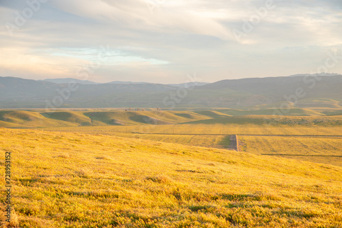 Vivid Sunset, Grassy Hills, Rolling Hills, Antelope Valley, California