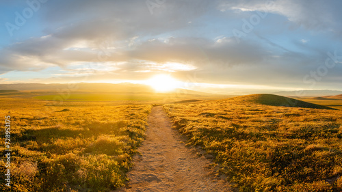 Vivid Sunset, Grassy Hills, Rolling Hills, Antelope Valley, California