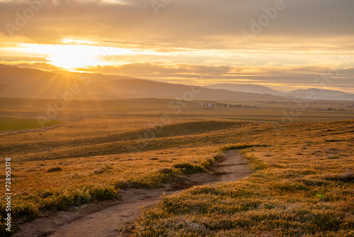 Vivid Sunset, Grassy Hills, Rolling Hills, Antelope Valley, California