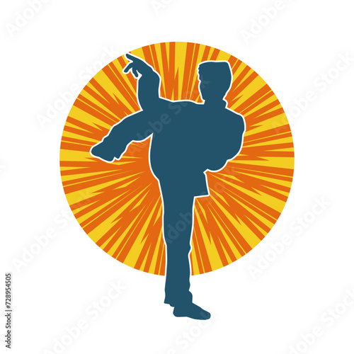 Silhouette of a man in oriental martial art pose. Silhouette of a male in martial art move.