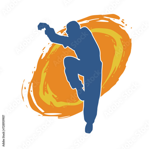 Silhouette of a man in oriental martial art pose. Silhouette of a male in martial art move.