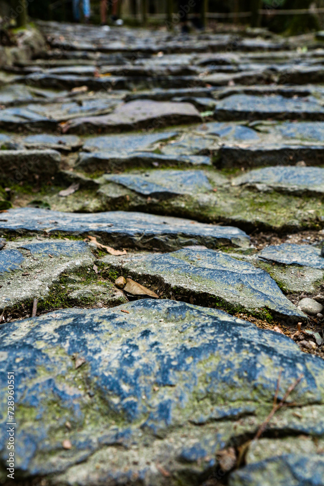 Old stone stairs in park in Nara Japan. Old stone stairs in park in Nara Japan.