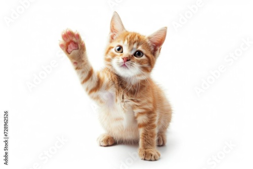 Charming cat performing a high-five gesture Isolated on a pristine white background Perfect for playful and cute themes