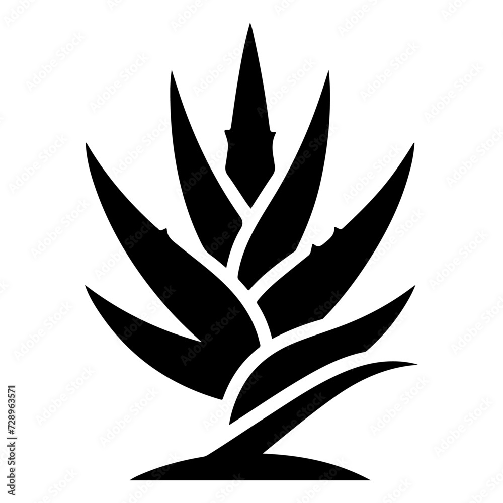 Aloe Vera plant icon vector silhouette, white background
