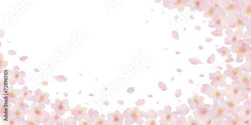 桜と桜の花びらの水彩画イラスト背景 photo