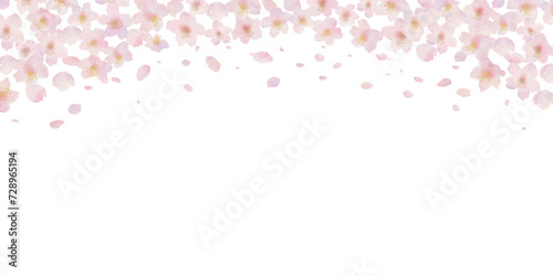 桜と桜の花びらの水彩画イラスト背景 photo