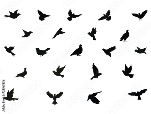 Dove bird silhouette vector art white background