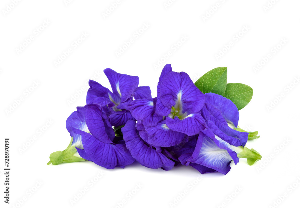 Naklejka premium Butterfly pea flower with leave on white background