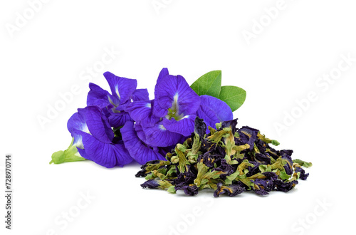 Butterfly pea flower on white background