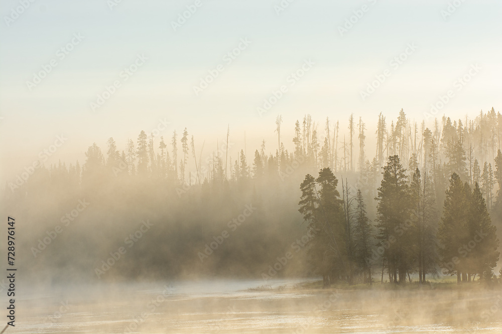 Fototapeta premium Morning Mist Horizontal