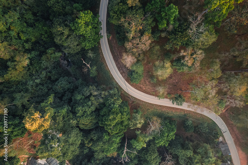Roads and trees in summer from a drone © artrachen