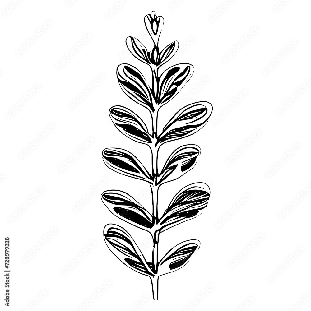 Botanic lineart with transparent background Botanic lineart with transparent background