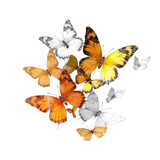 Butterflies PNG Cutout, Generative AI