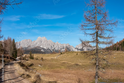 Hiking trail along golden alpine meadows and forest in autumn. Scenic view of majestic mountains of Carnic Alps in Sauris di Sopra, Friuli Venezia Giulia, Italy. Tranquil atmosphere in Italian Alps photo