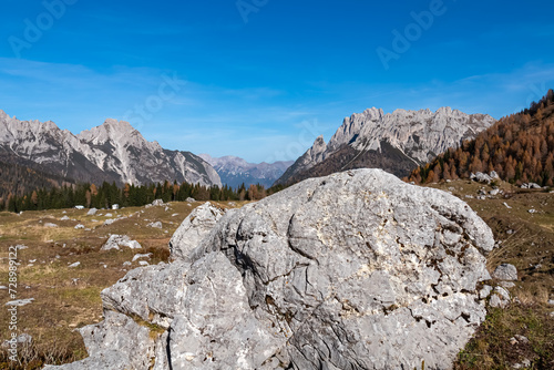 Rock formation on golden colored alpine meadows and forest in autumn. Scenic view of majestic mountains of Carnic Alps, Sauris di Sopra, Friuli Venezia Giulia, Italy. Tranquil atmosphere Italian Alps