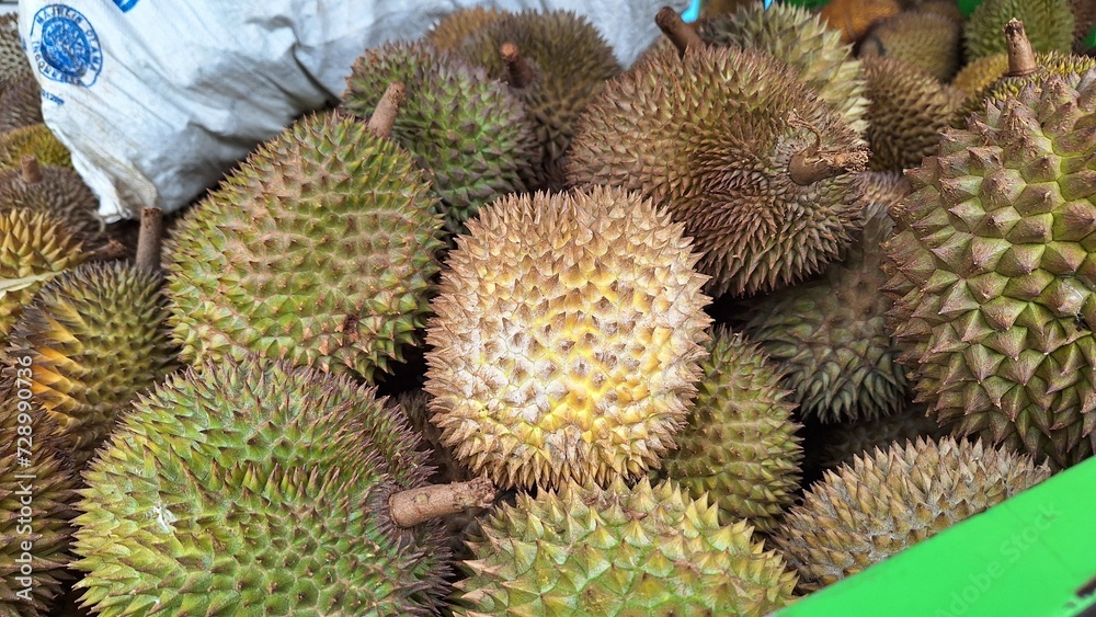 Fresh cream durians harvested, hung and stacked for sale in the market. Fresh cream durians harvested, hung and stacked for sale in the market.