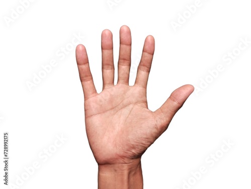 Hand with 5 fingers open on a white background. Hand raised showing symbol.