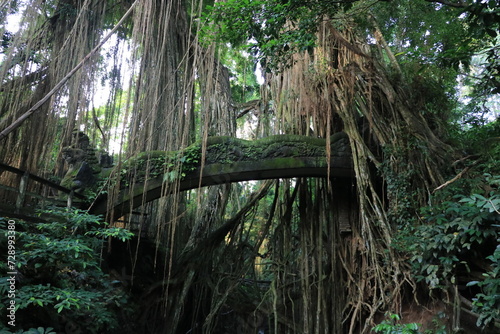 モンキーフォレスト・ウブド　インドネシア　バリ島　