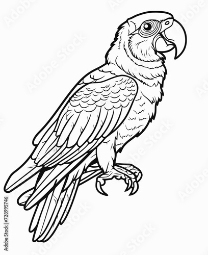 illustration of a parrot